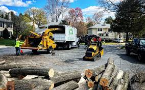 Best Lawn Watering Services  in Princevle, IL