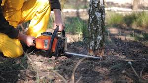 Seasonal Cleanup (Spring/Fall) in Princeville, IL